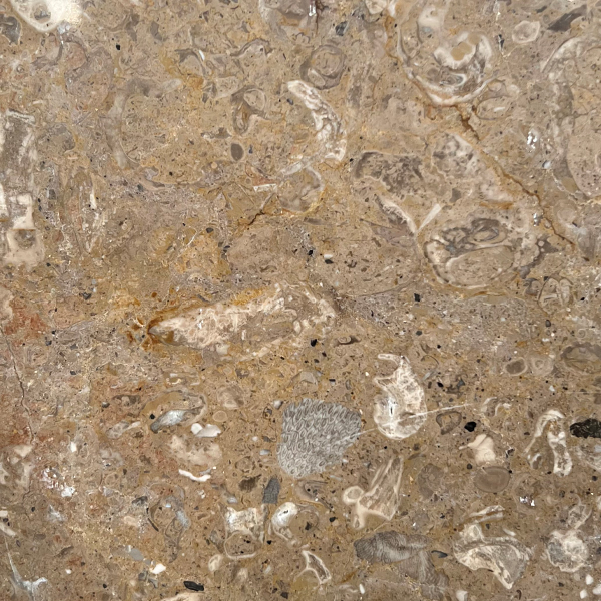 Mármol Peñuela Michoacán